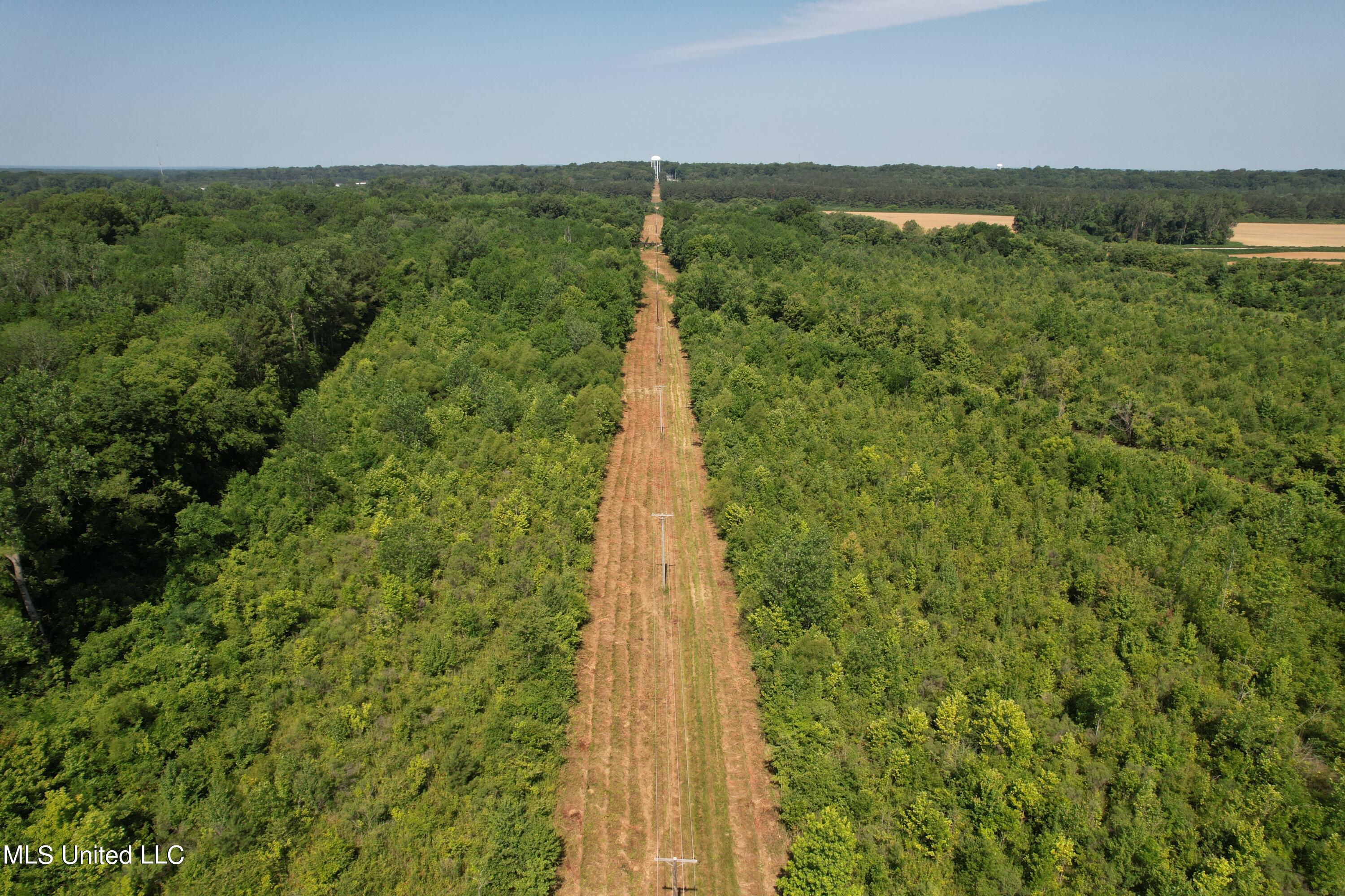 North Street New Albany, MS 38652 - Photo 3 of 16 2024-06-23 10.14.31