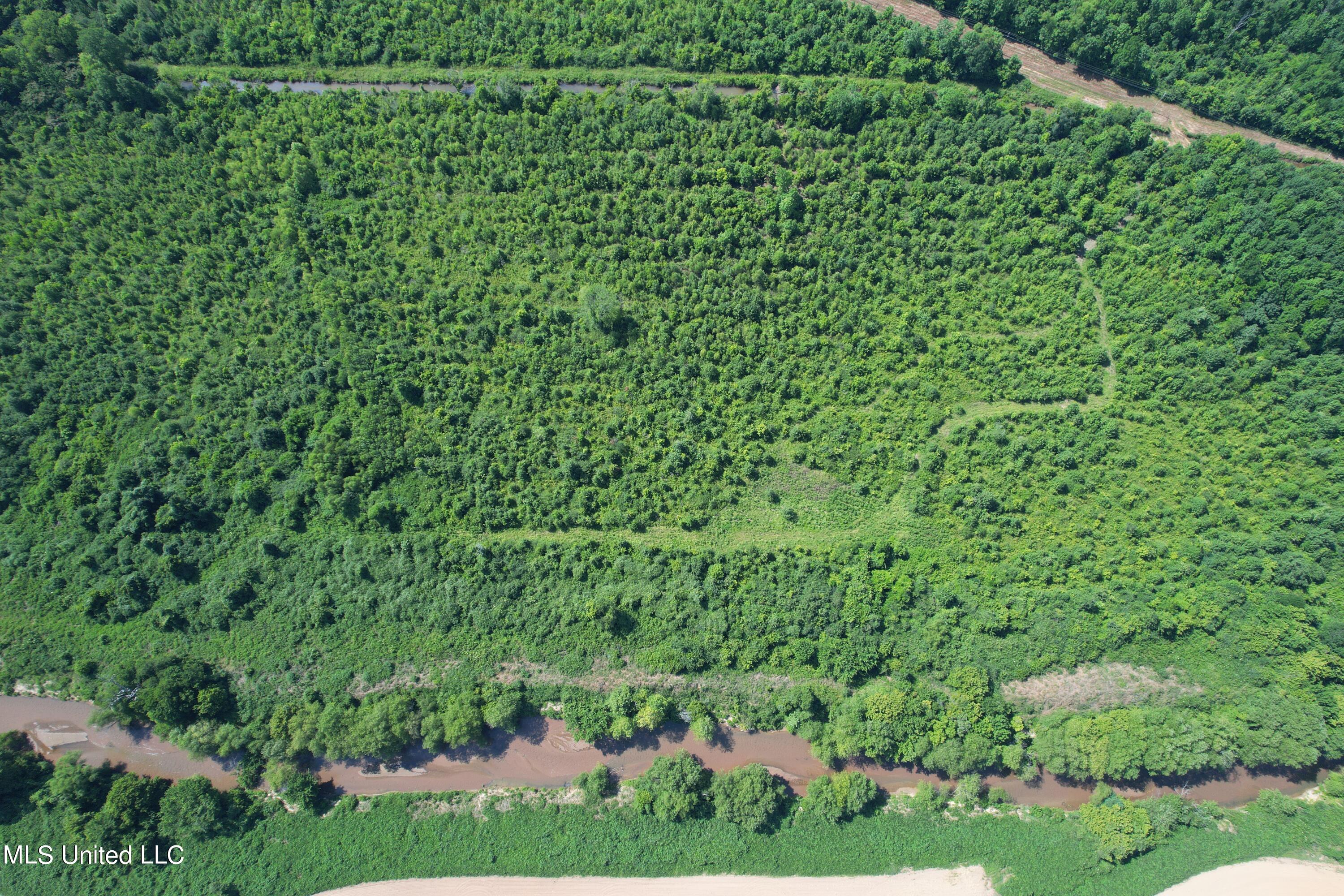 North Street New Albany, MS 38652 - Photo 4 of 16 2024-06-23 10.18.51