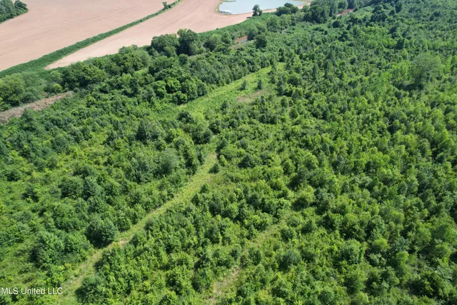 $159,600 | North Street, New Albany, MS 38652