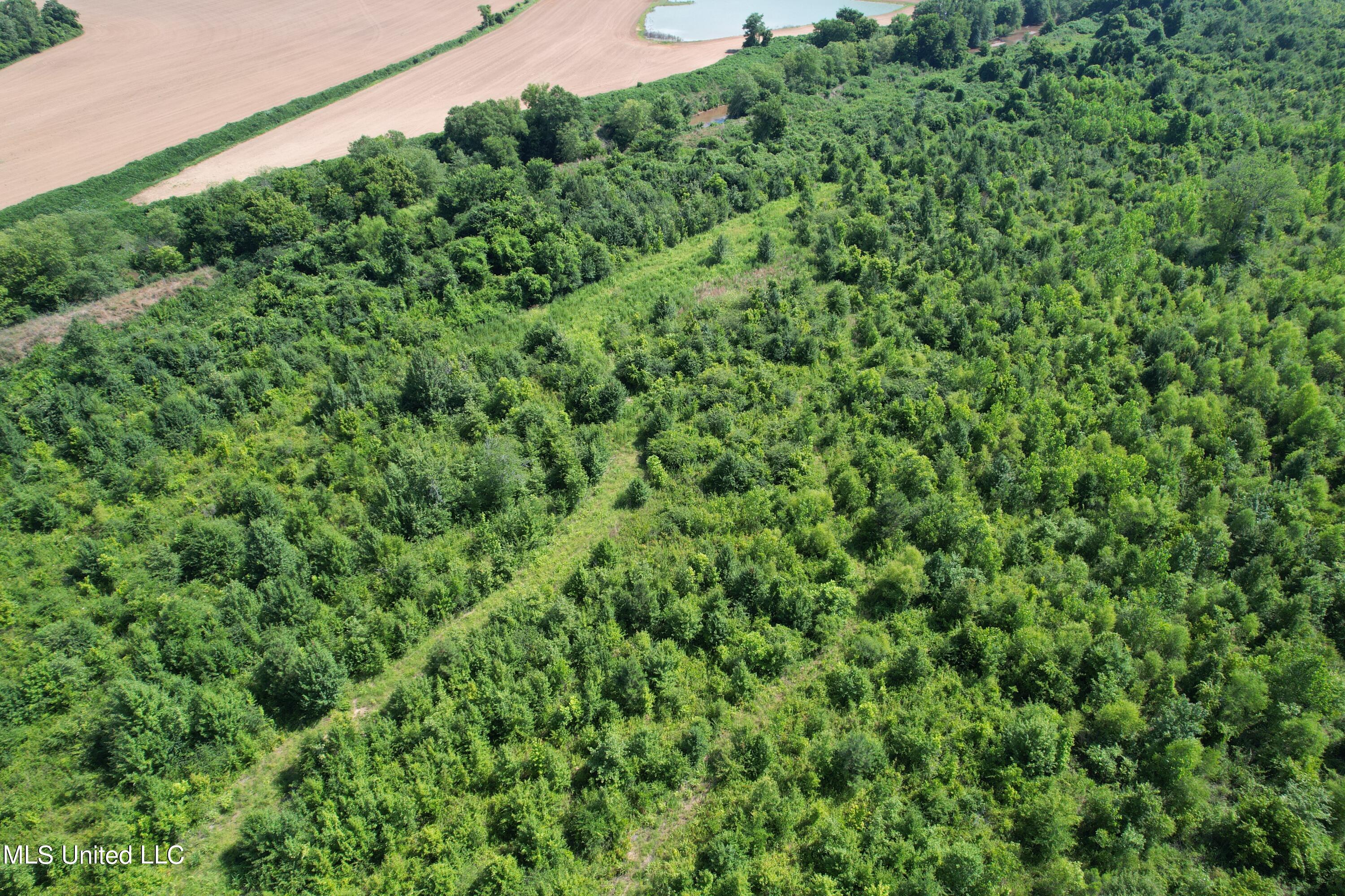 North Street New Albany, MS 38652 - Photo 8 of 16 2024-06-23 10.22.16