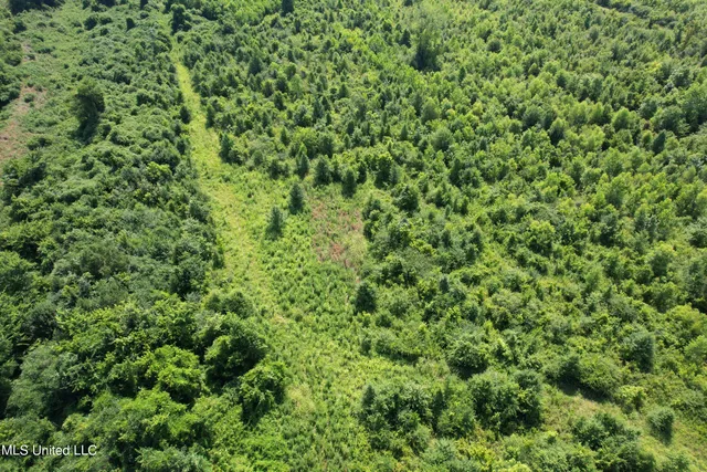 $159,600 | North Street, New Albany, MS 38652