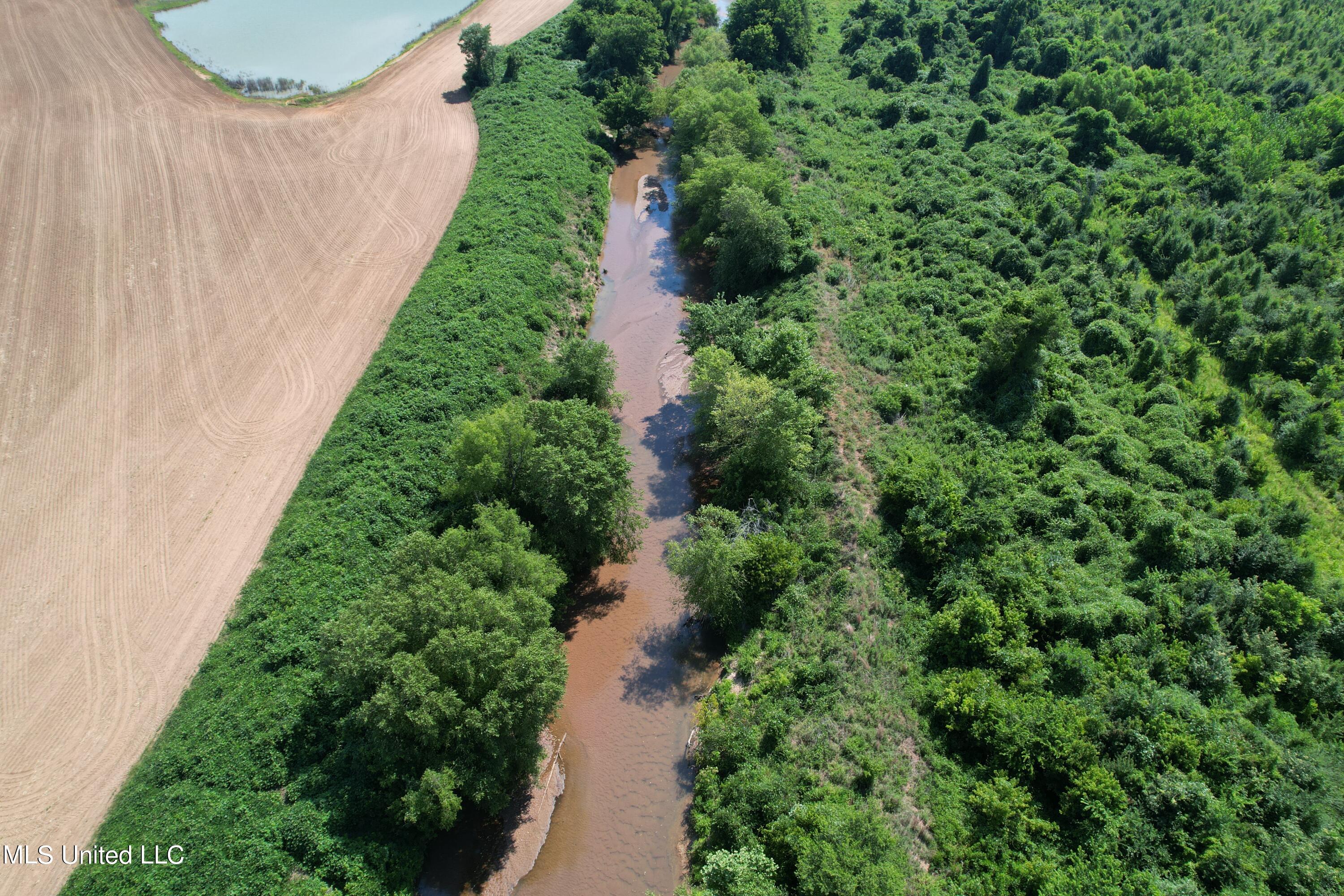 North Street New Albany, MS 38652 - Photo 10 of 16 2024-06-23 10.23.01