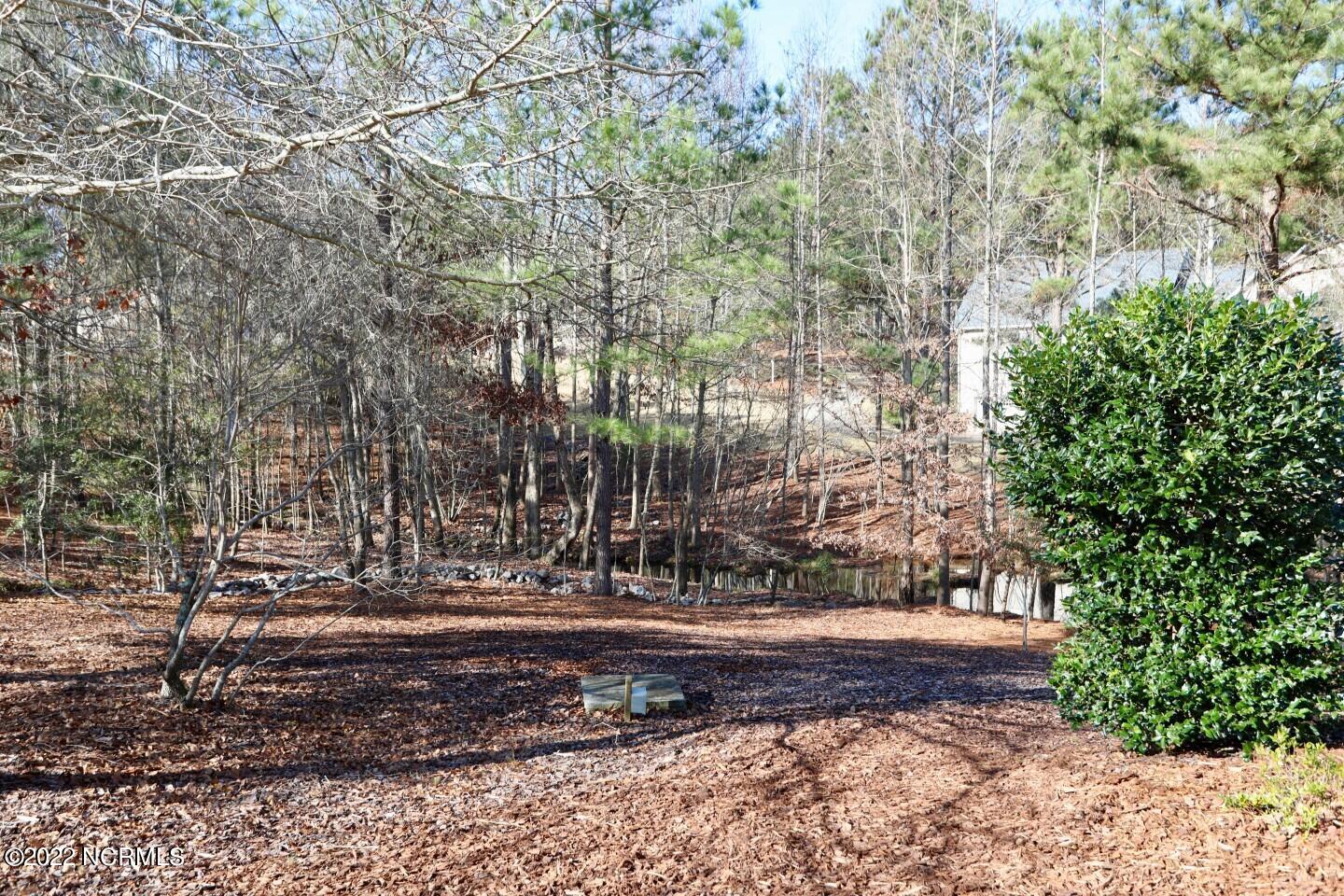 219 Broken Ridge Trail West End, NC 27376 - Photo 36 of 53 16409846982255