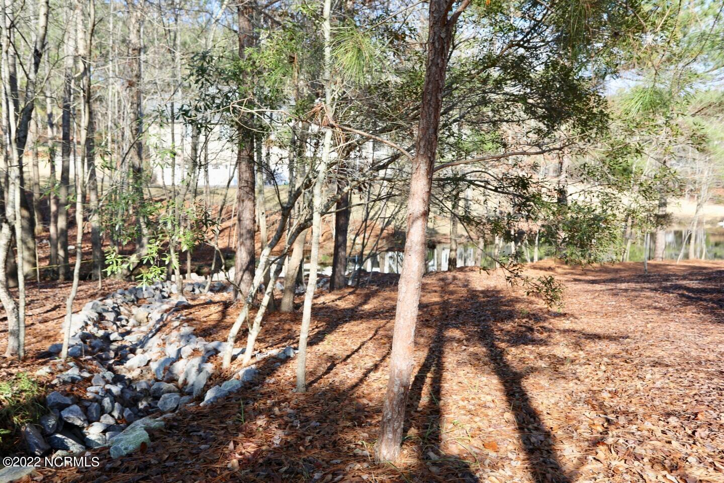 219 Broken Ridge Trail West End, NC 27376 - Photo 37 of 53 16409847079818