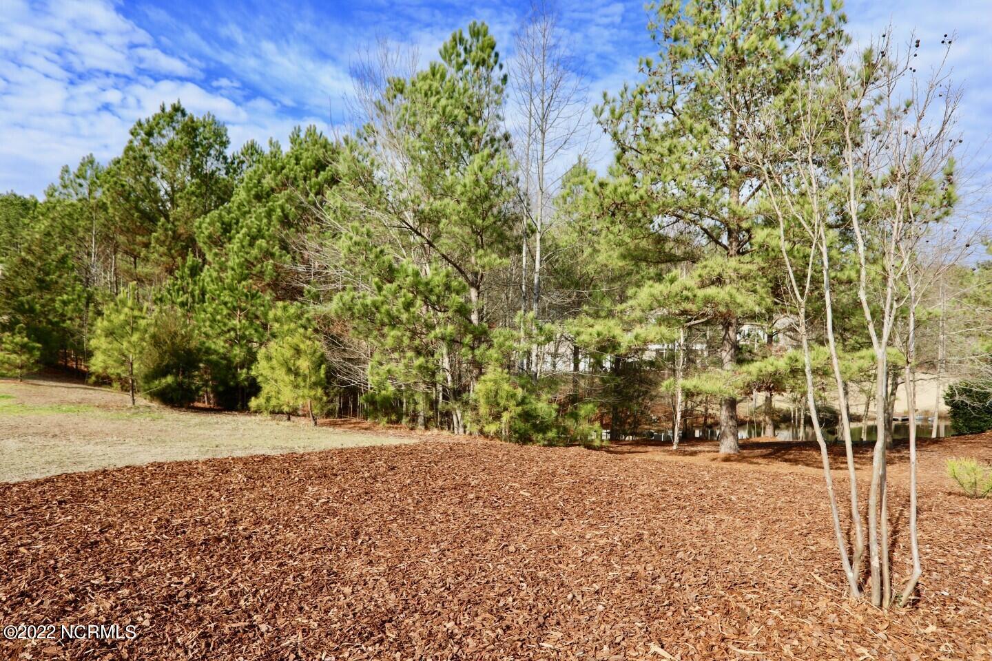 219 Broken Ridge Trail West End, NC 27376 - Photo 39 of 53 16409847831447