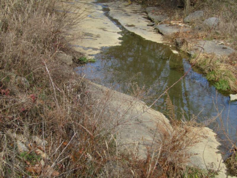 4.68-ac Friendship Hollow Road Pleasant Shade, TN 37145 - Photo 22 of 26 IMG_1018