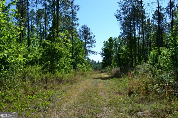 $52,500 | 0 Scotland Road, Dublin, GA 31021