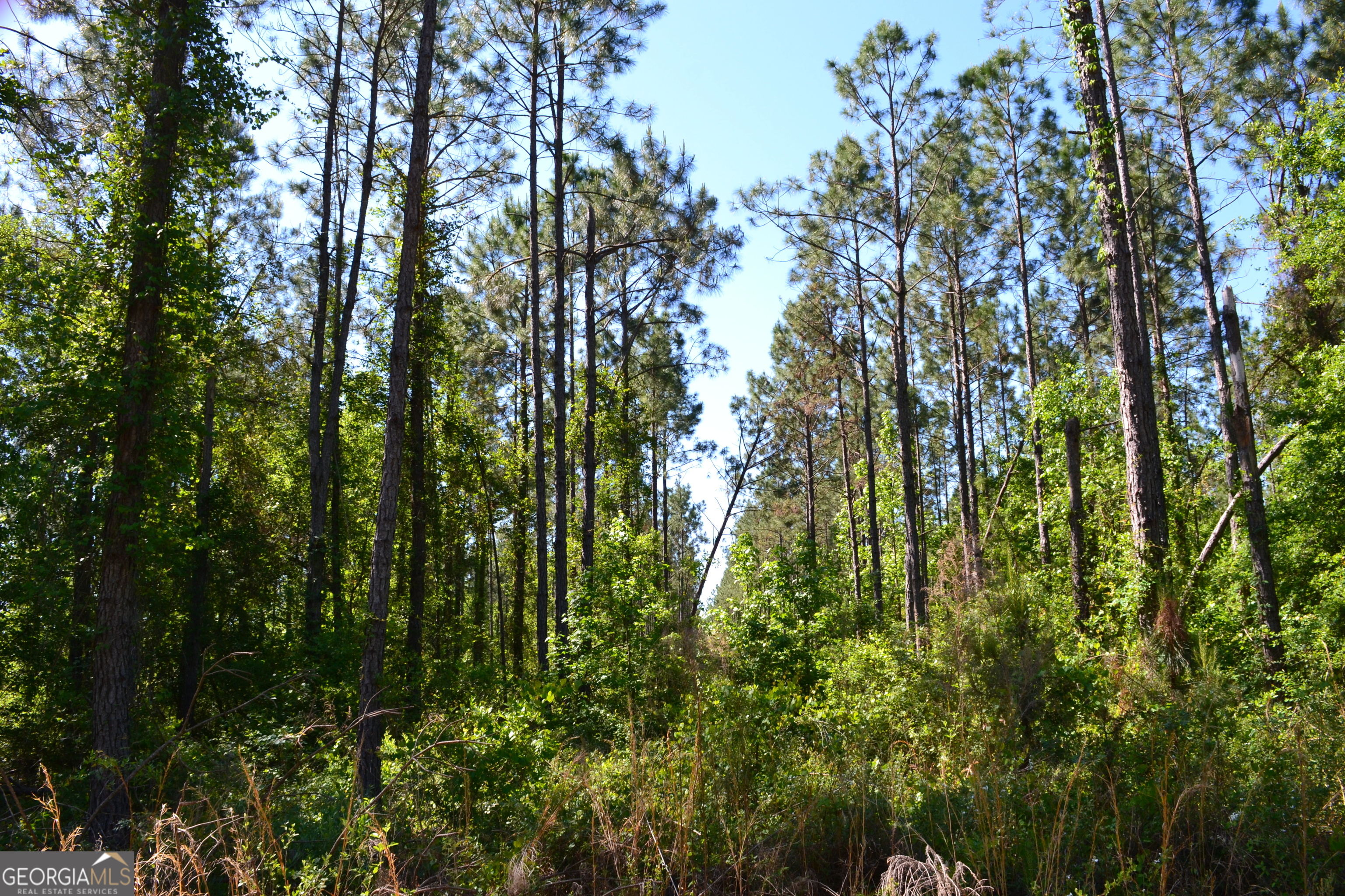 0 Scotland Road Dublin, GA 31021 - Photo 2 of 5