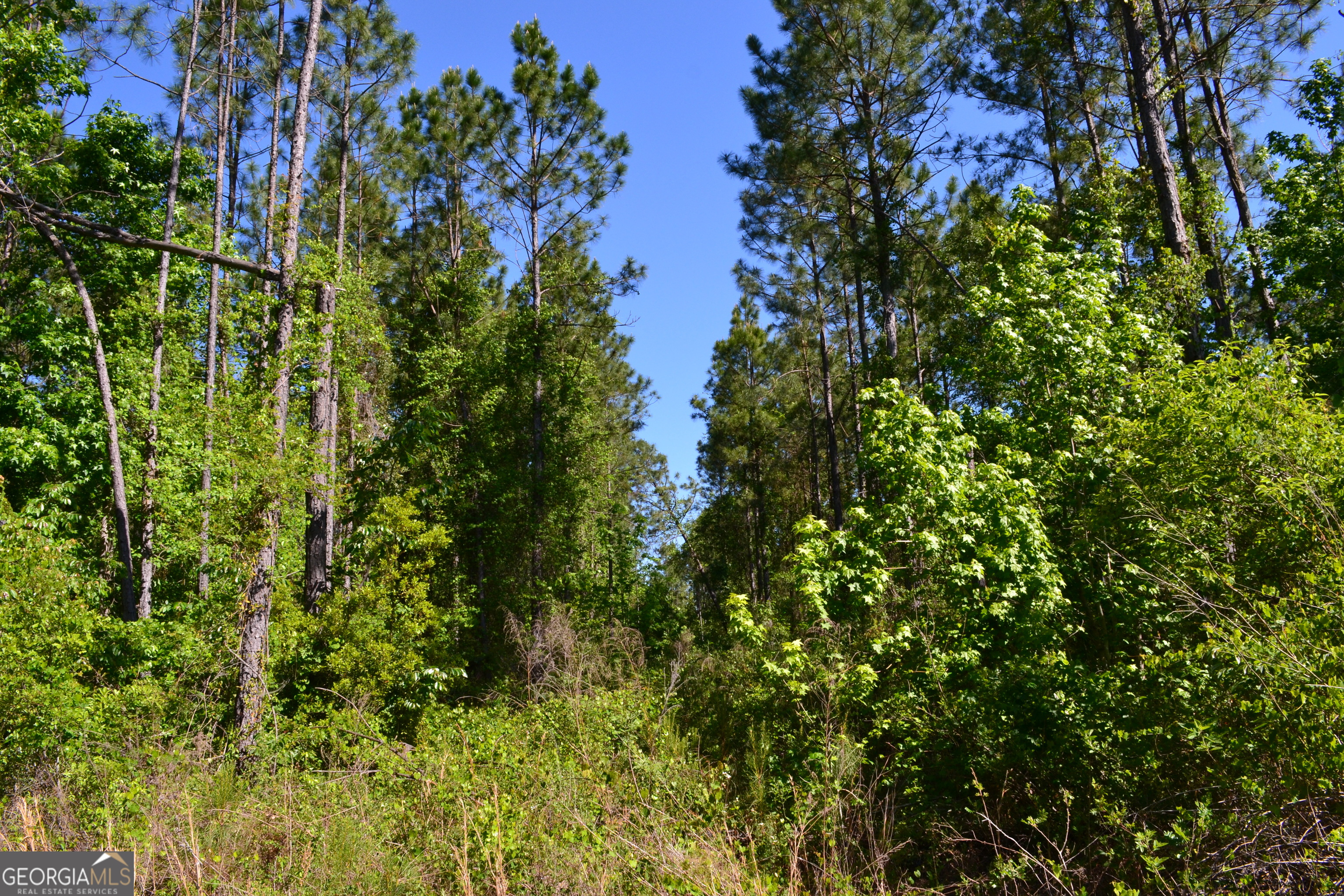 0 Scotland Road Dublin, GA 31021 - Photo 3 of 5
