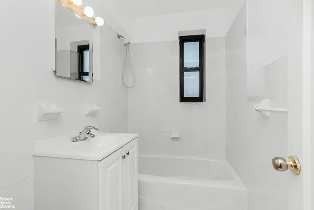 a view of a garden with plants