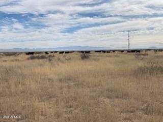 4207 South Permenter Road Willcox, AZ 85643 - Photo 8 of 17 IMG_6961