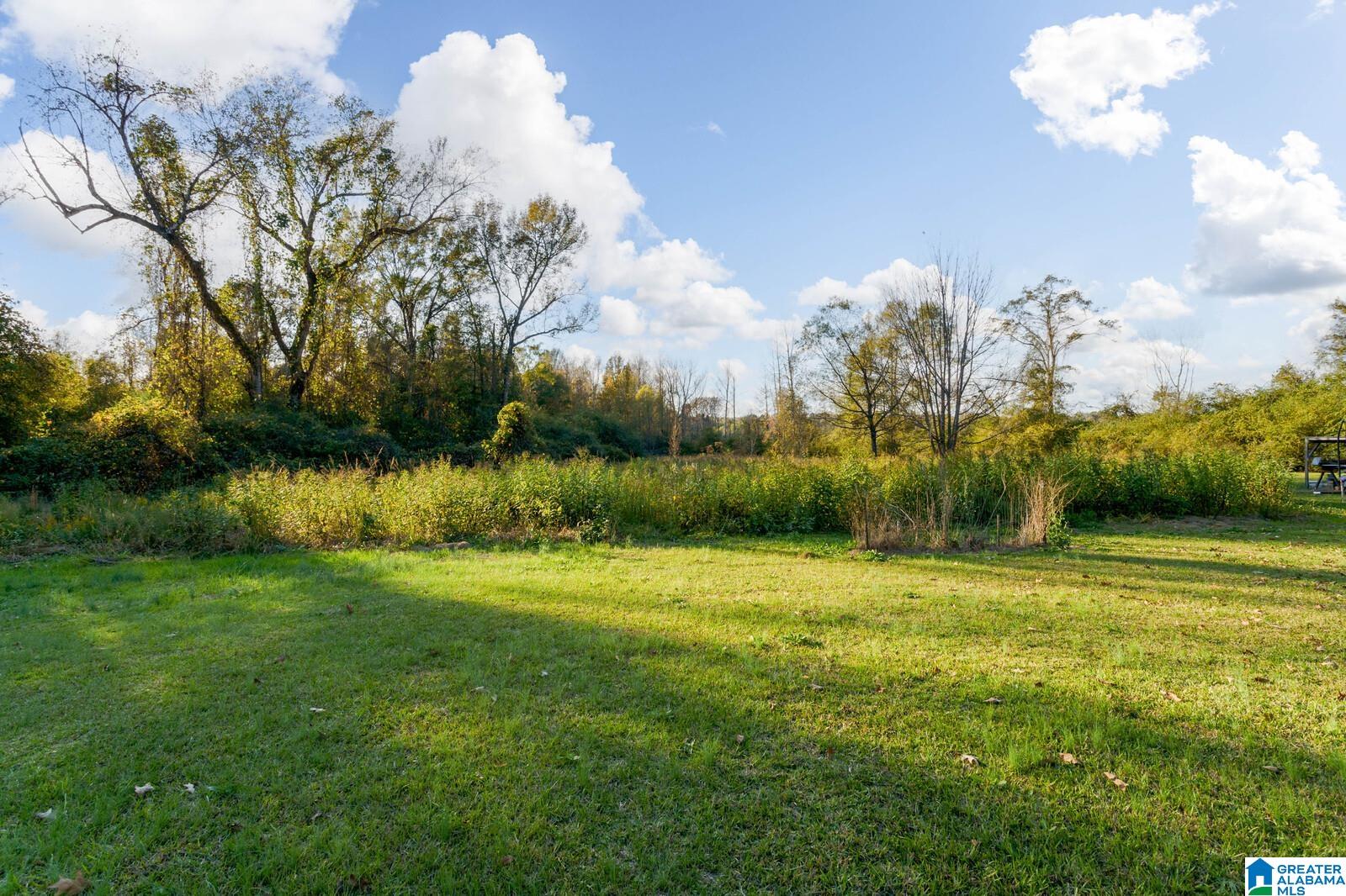 386 Dairy Farm Road Moundville, AL 35474 - Photo 25 of 29