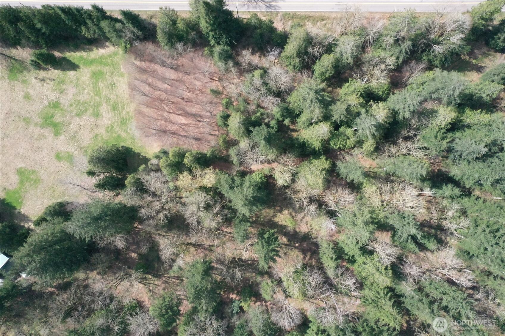 15327 May Creek Road Gold Bar, WA 98251 - Photo 16 of 35 a view of a forest with a lake