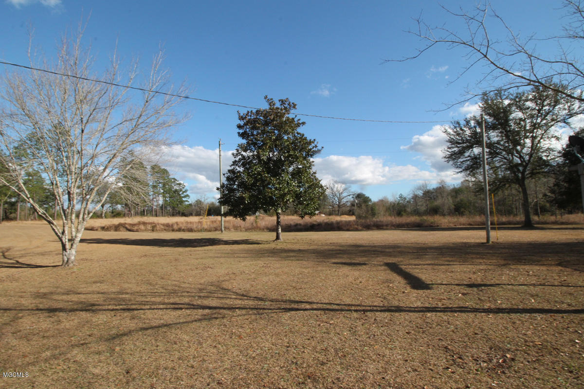 141 Bruce Goff Road Lucedale, MS 39452 - Photo 26 of 38 Yard