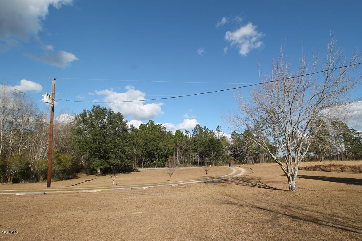 141 Bruce Goff Road Lucedale, MS 39452 - Photo 28 of 38 Yard
