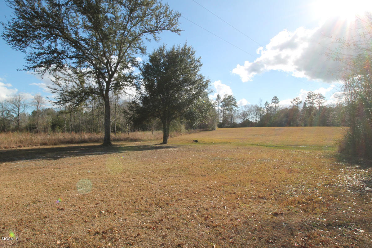 141 Bruce Goff Road Lucedale, MS 39452 - Photo 29 of 38 Land