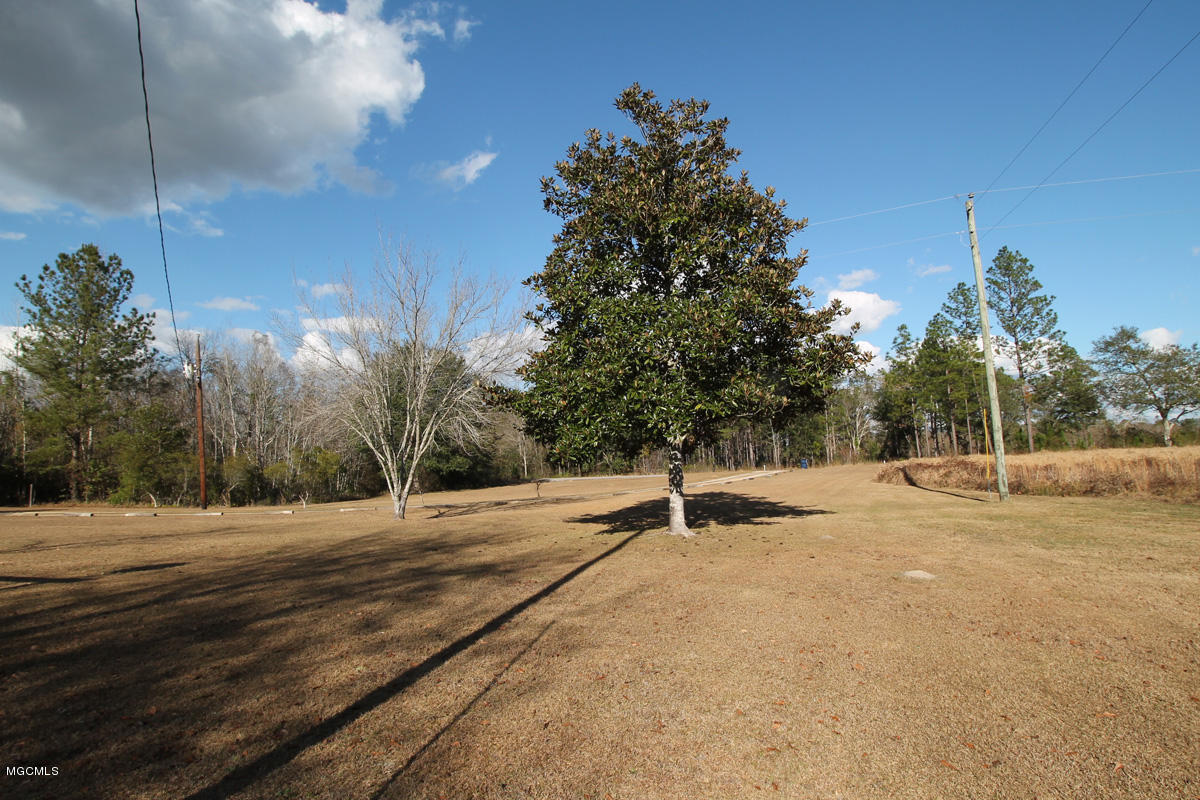 141 Bruce Goff Road Lucedale, MS 39452 - Photo 30 of 38 Yard