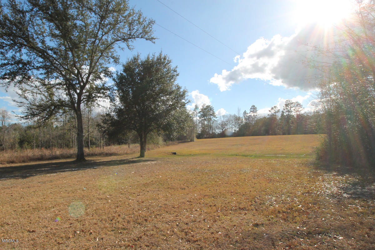 141 Bruce Goff Road Lucedale, MS 39452 - Photo 31 of 38 Land