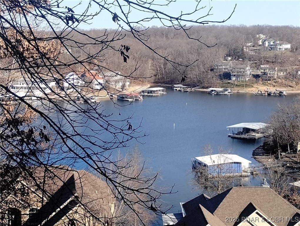 Lake view from right side of subject lot. Trees ha