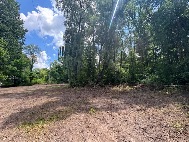 $112,500 | 4.67 East A E M-20, Hesperia, MI 49421