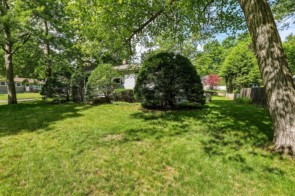 64 Tioga Street Springfield, MA 01128 - Photo 21 of 27