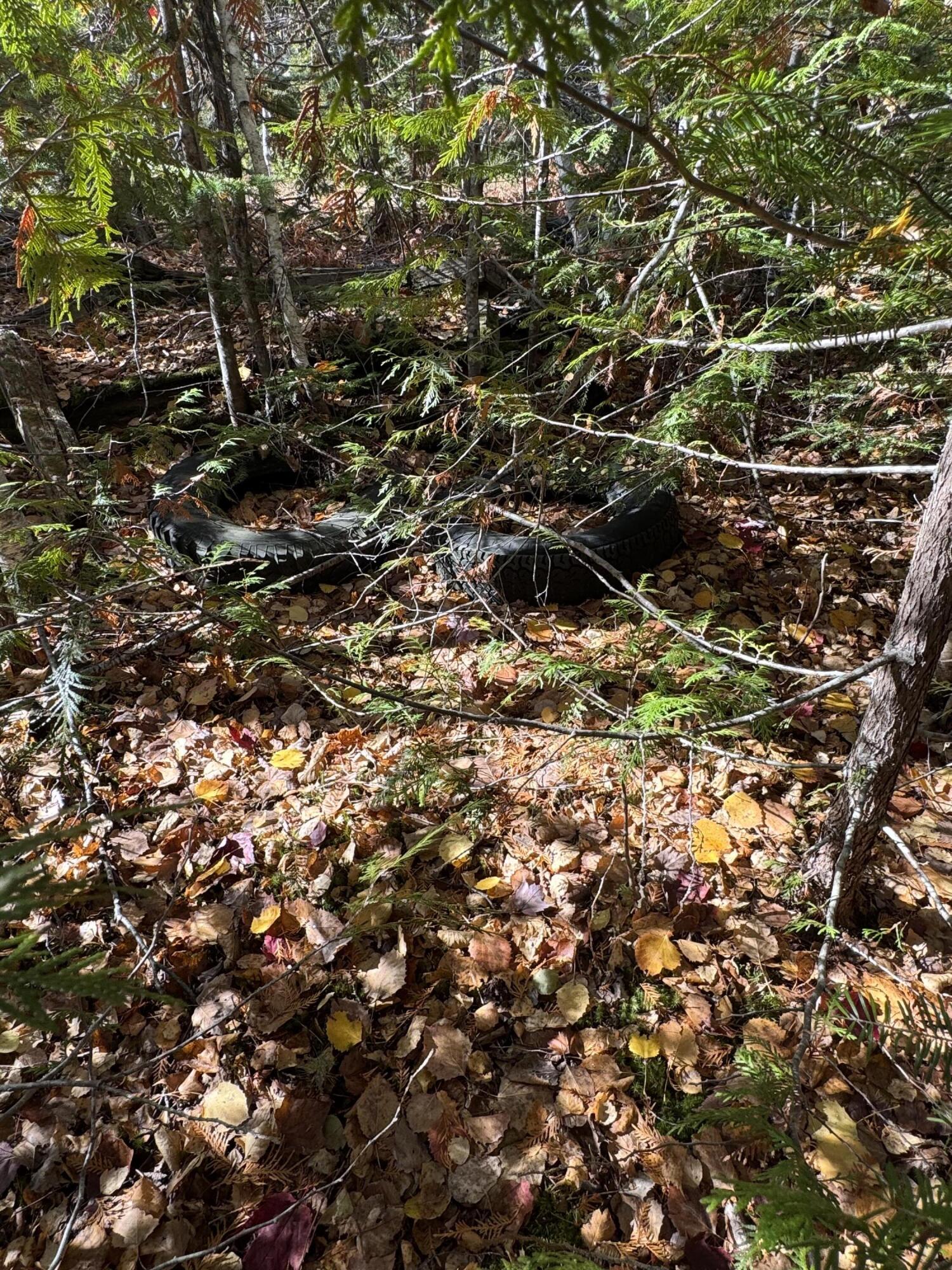 Lot 3 West Old Main Road Lowell, ME 04493 - Photo 2 of 7 IMG_7413