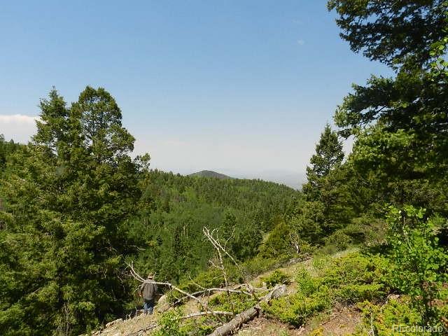 6182 Curran Road San Luis, CO 81152 - Photo 6 of 13 Gallery Image 6
