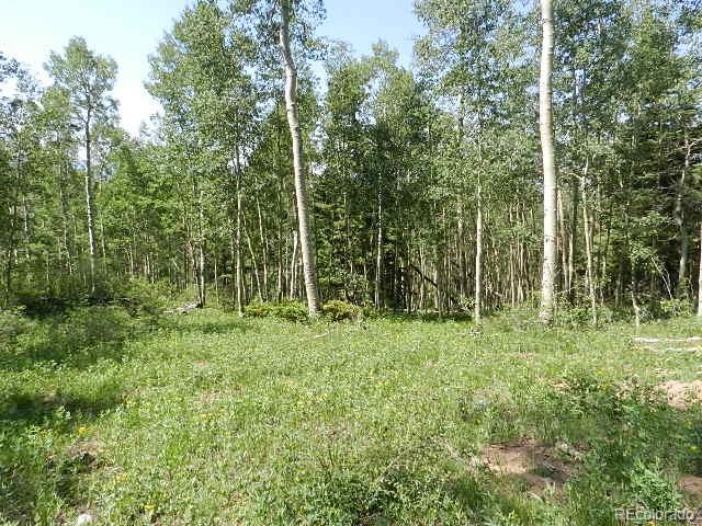 6182 Curran Road San Luis, CO 81152 - Photo 7 of 13 Gallery Image 7