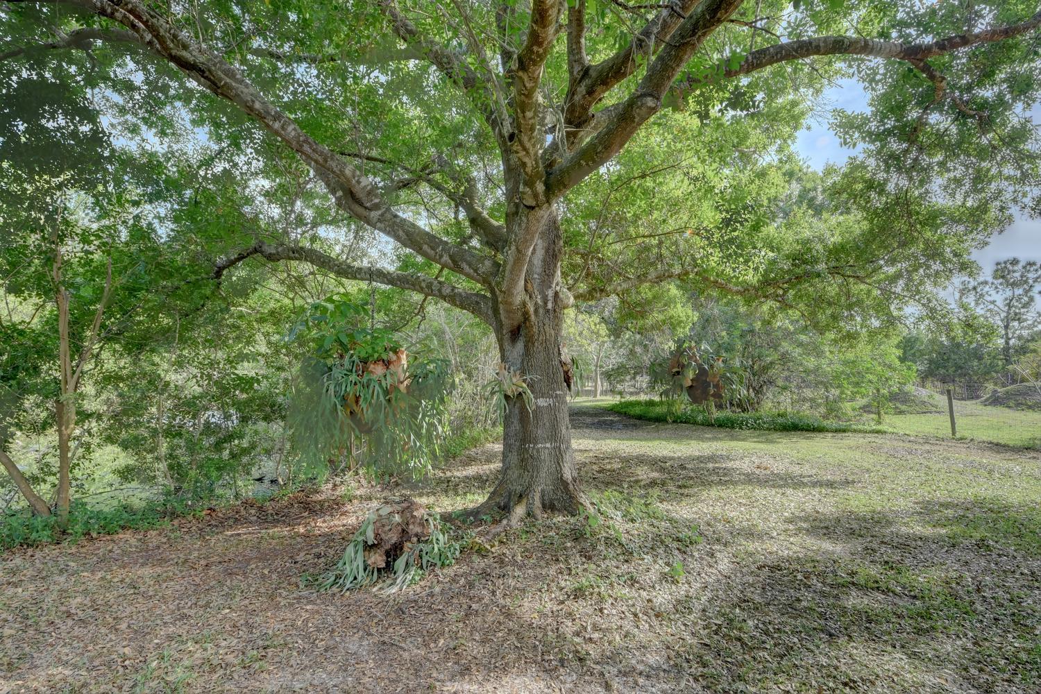 10725 Henrys Road Fort Pierce, FL 34945 - Photo 43 of 44 47