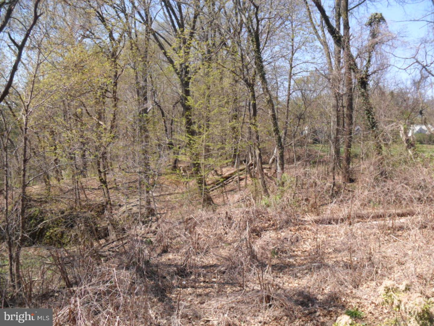 143 Woodland Road Wyncote, PA 19095 - Photo 11 of 25 Gallery Image 11