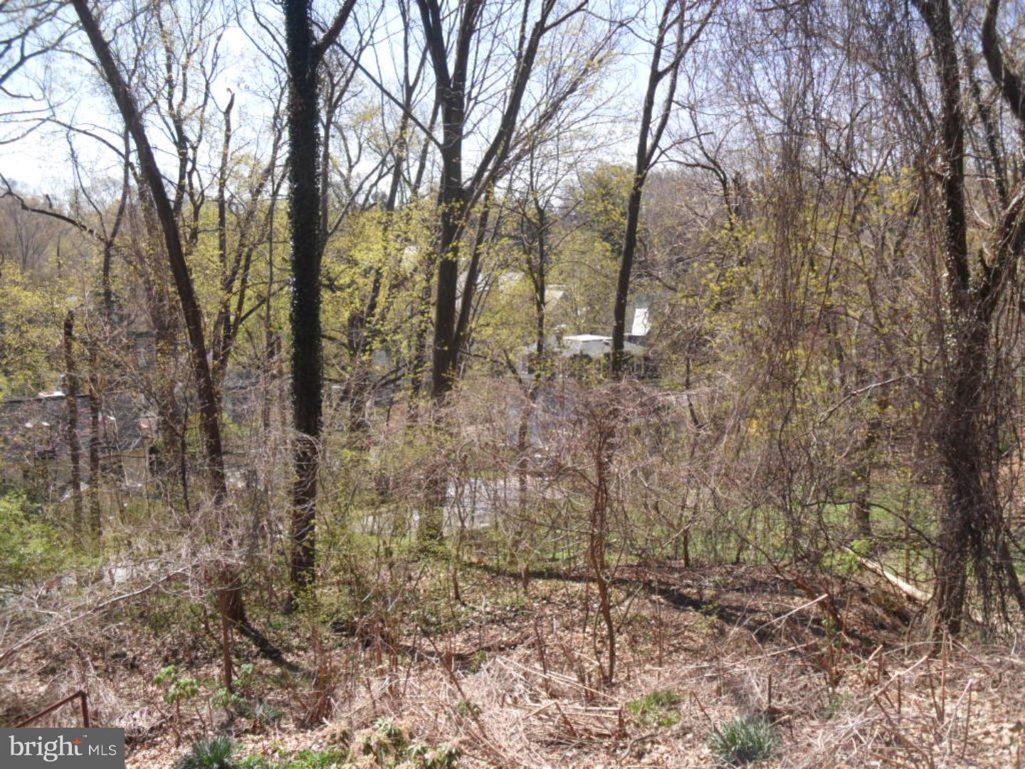 143 Woodland Road Wyncote, PA 19095 - Photo 12 of 25 Gallery Image 12