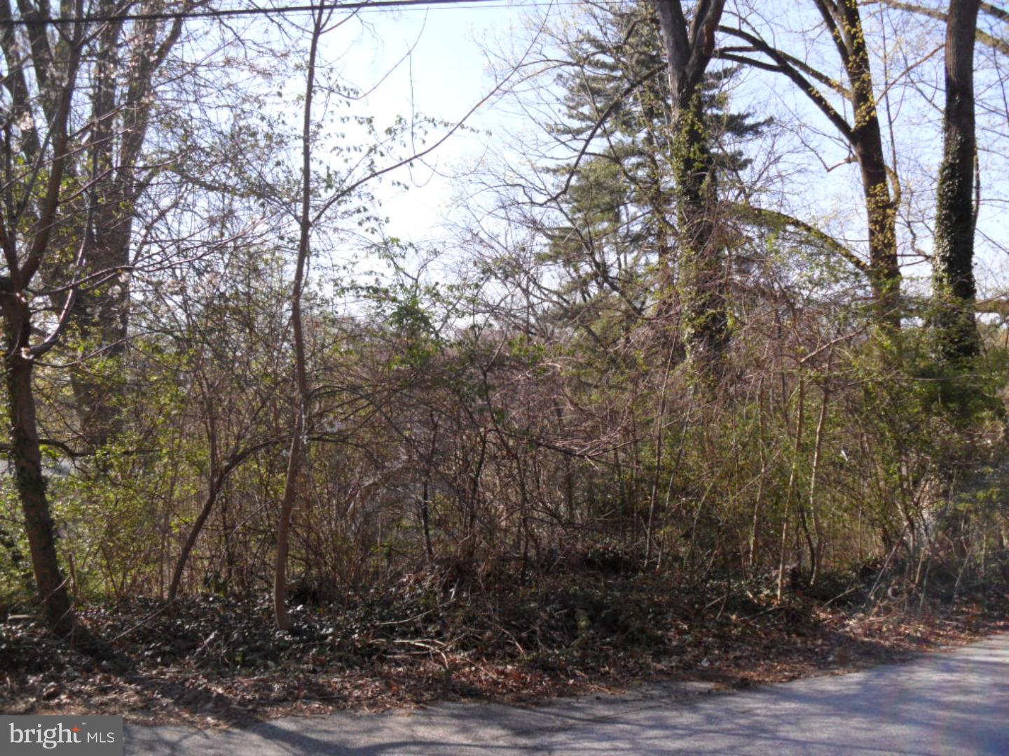 143 Woodland Road Wyncote, PA 19095 - Photo 6 of 25 Gallery Image 6