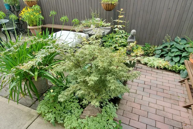 a view of a park with large trees