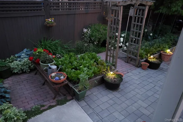 a bunch of flowers in a yard