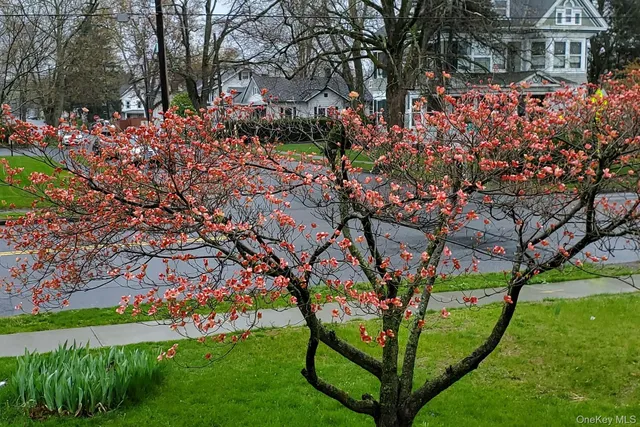 a garden with a table and a chair
