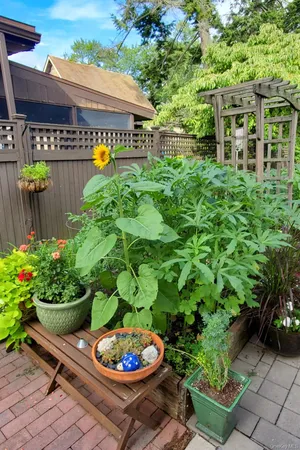 a view of a chair and table in a garden