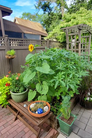 a view of a chair and table in a garden