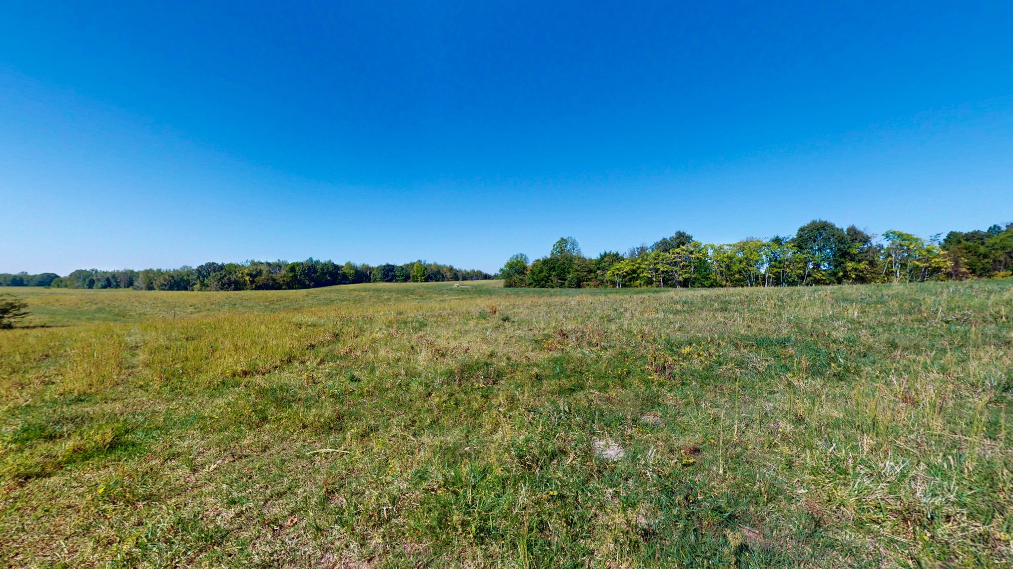 0 Old Murray Paris Road Puryear, TN 38251 - Photo 8 of 18 a view of a lake with a city