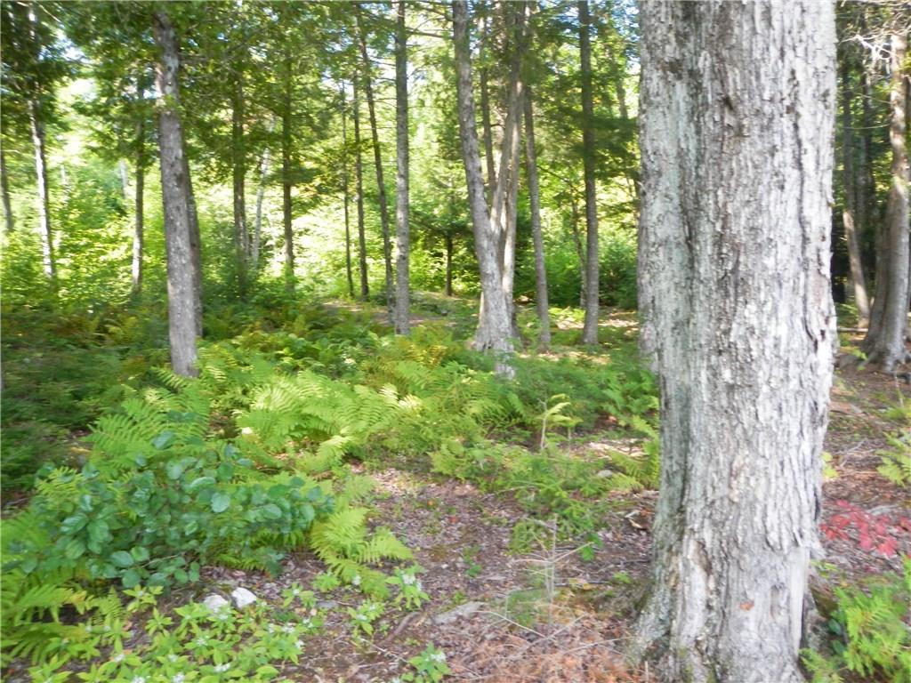 Tbd Tbd Eskutassis & Spruce Point Road Lowell, ME 04493 - Photo 16 of 23 Photo