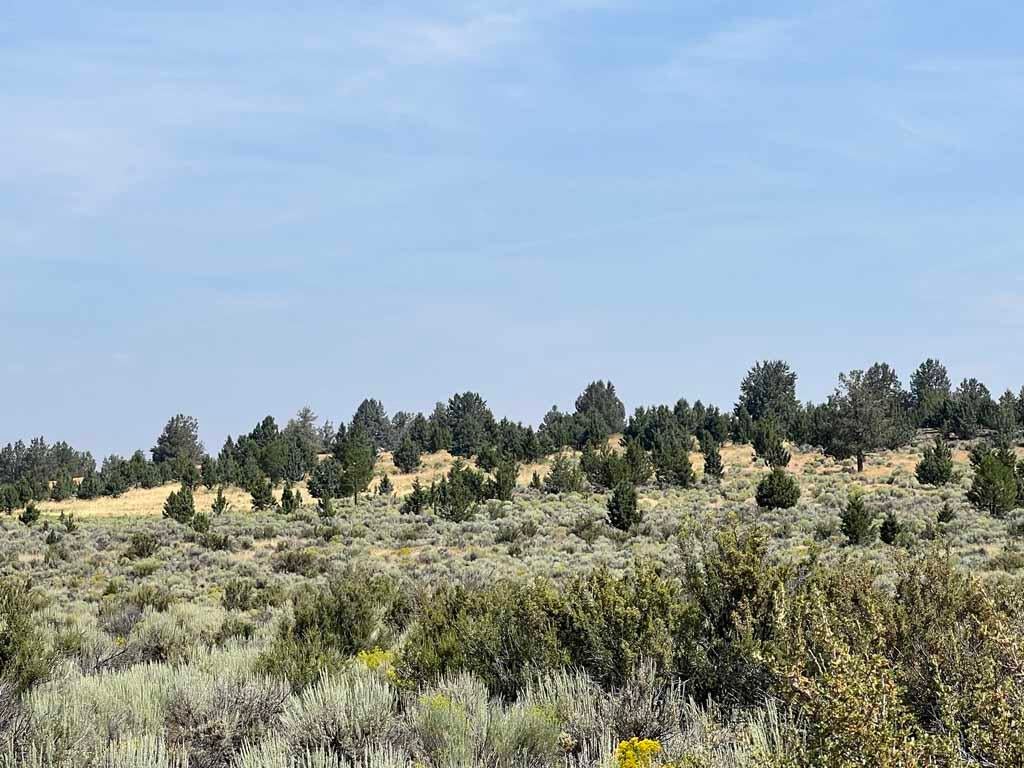 Yellow Jacket Springs Road, Unit 1200 Beatty, OR 97621 - Photo 28 of 32 IMG_6637
