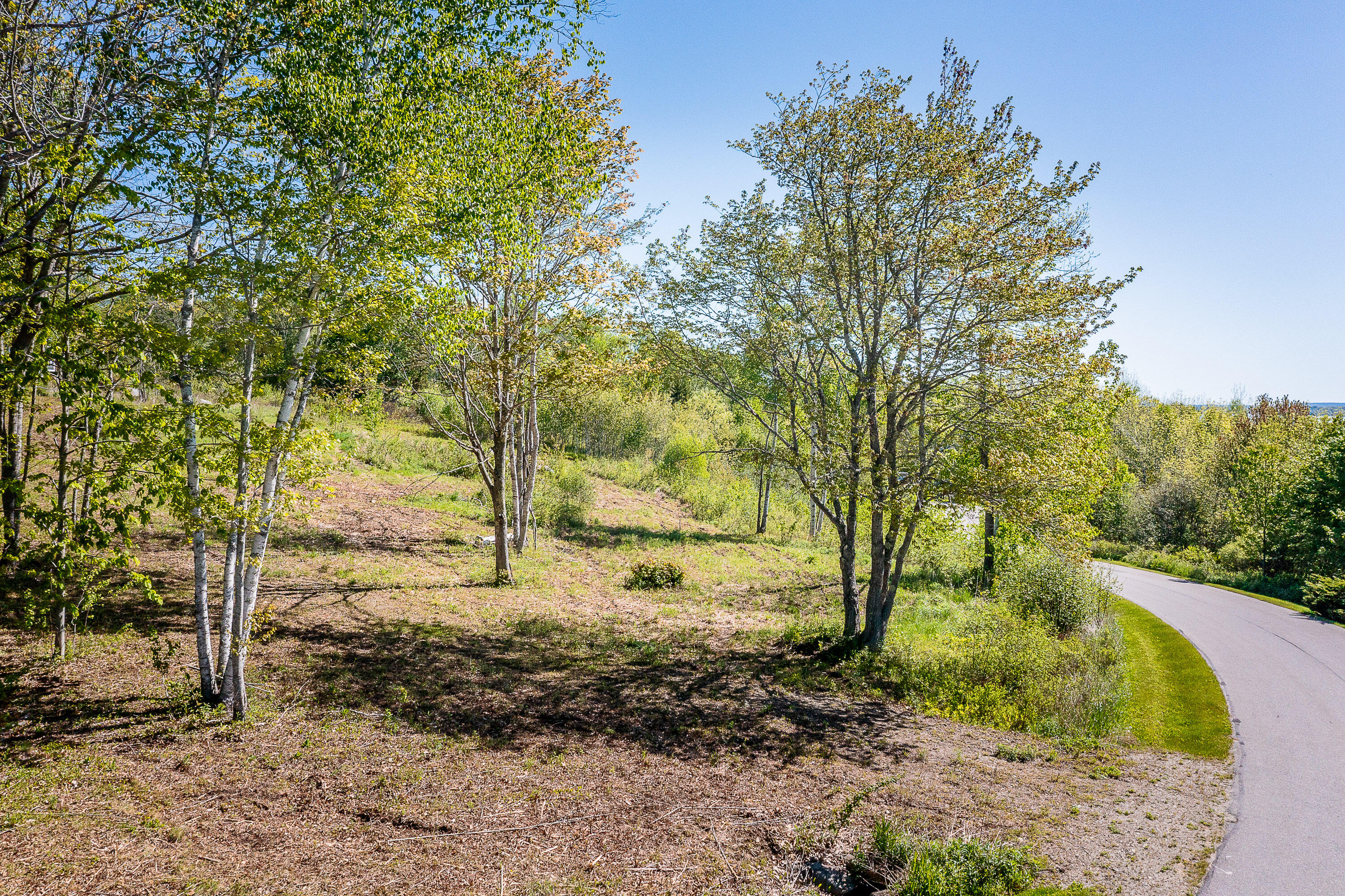 7 Highfields Lane Northport, ME 04849 - Photo 5 of 12 04_7Highfields_LAND_S_print