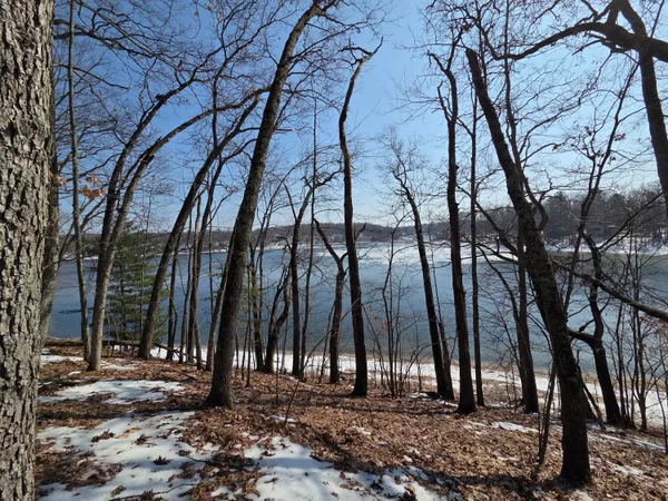 $89,500 | 9110 South Oxeye Avenue, Baldwin, MI 49304