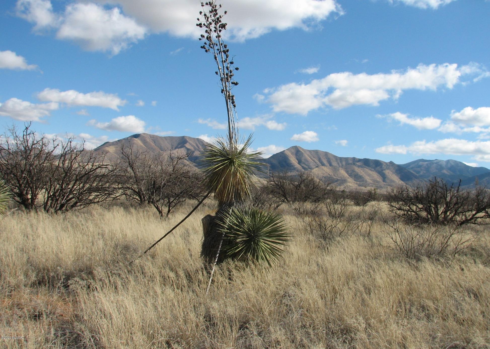 19.64-ac East Dragoon Road Dragoon, AZ 85609 - Photo 9 of 10