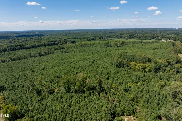 a view of a green field with lots of bushes