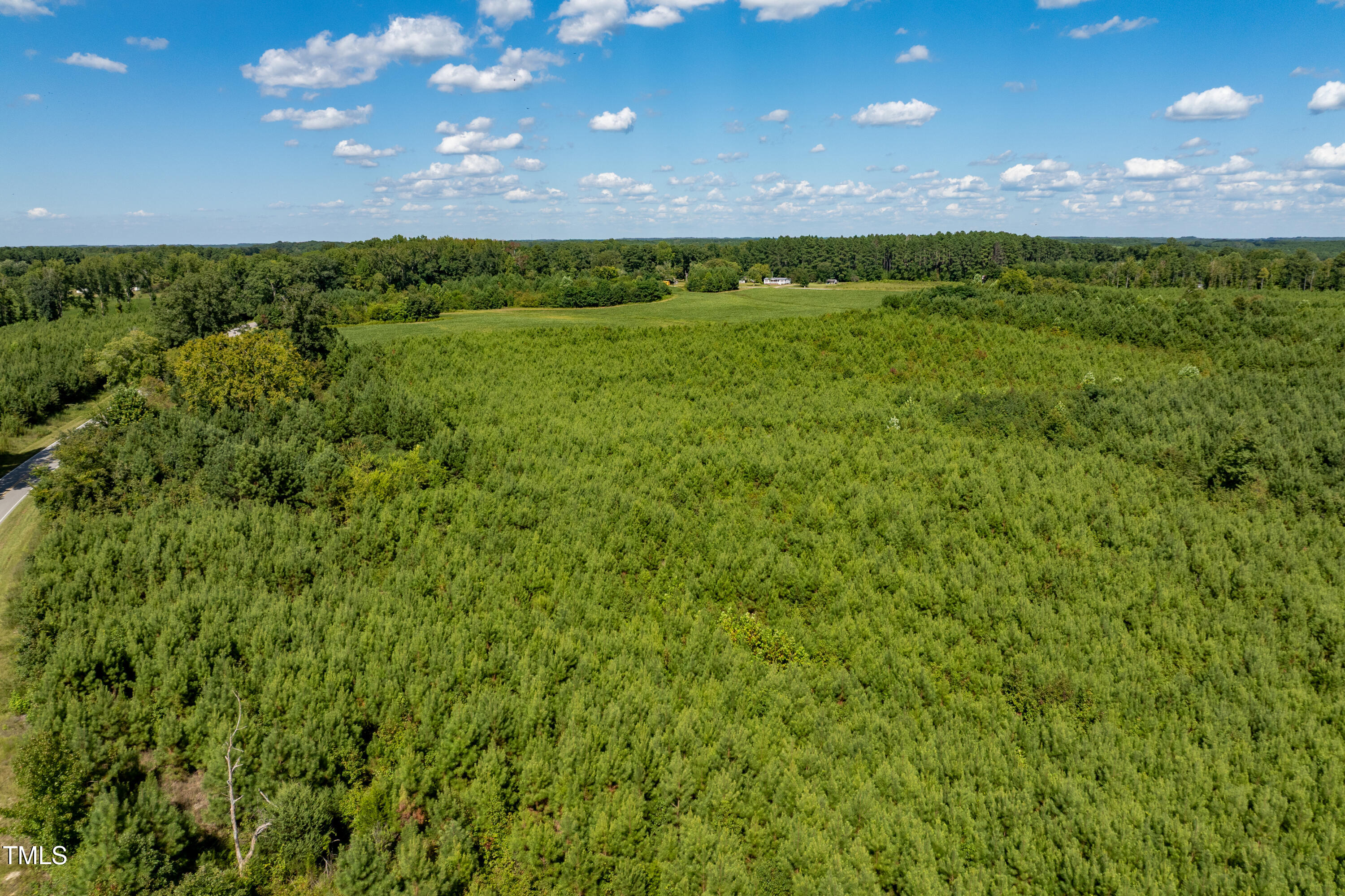 6-7 Walter Grissom Road Kittrell, NC 27544 - Photo 25 of 28 31-print-Walter-Grissom-Lot-31