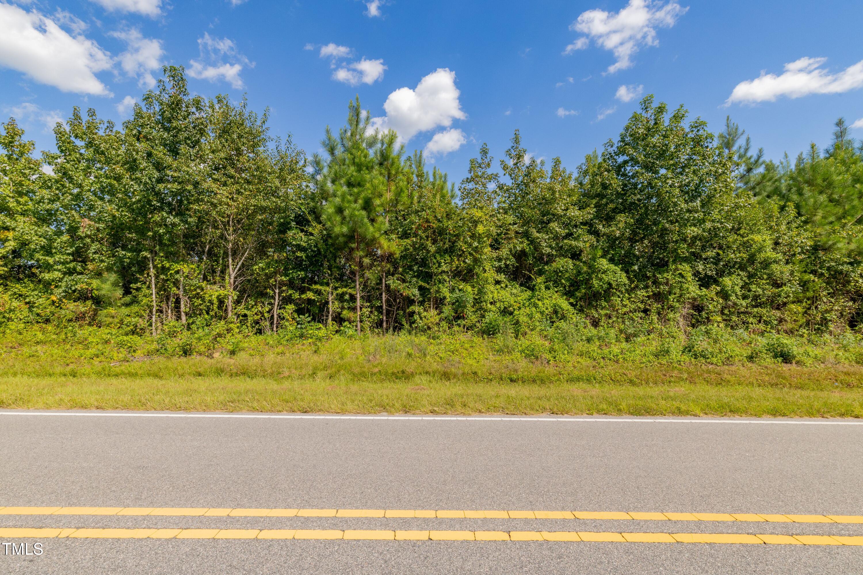 6-7 Walter Grissom Road Kittrell, NC 27544 - Photo 28 of 28 34-print-Walter-Grissom-Lot-34