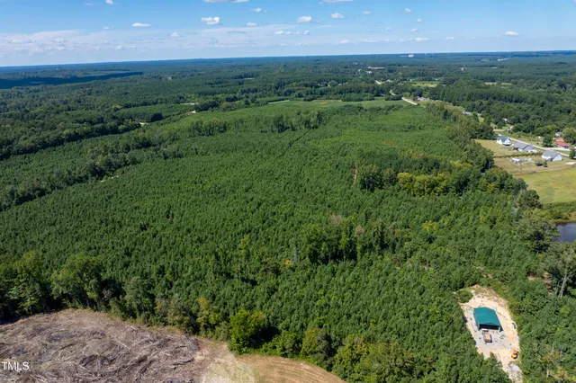 a view of a green field near a forest