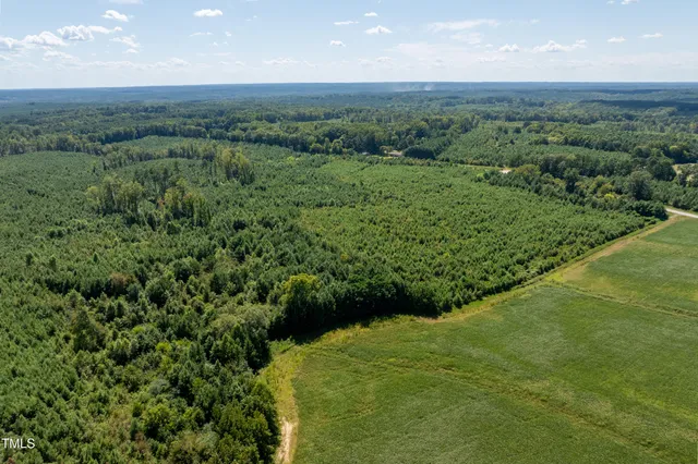 a view of a lush green forest with lots of trees