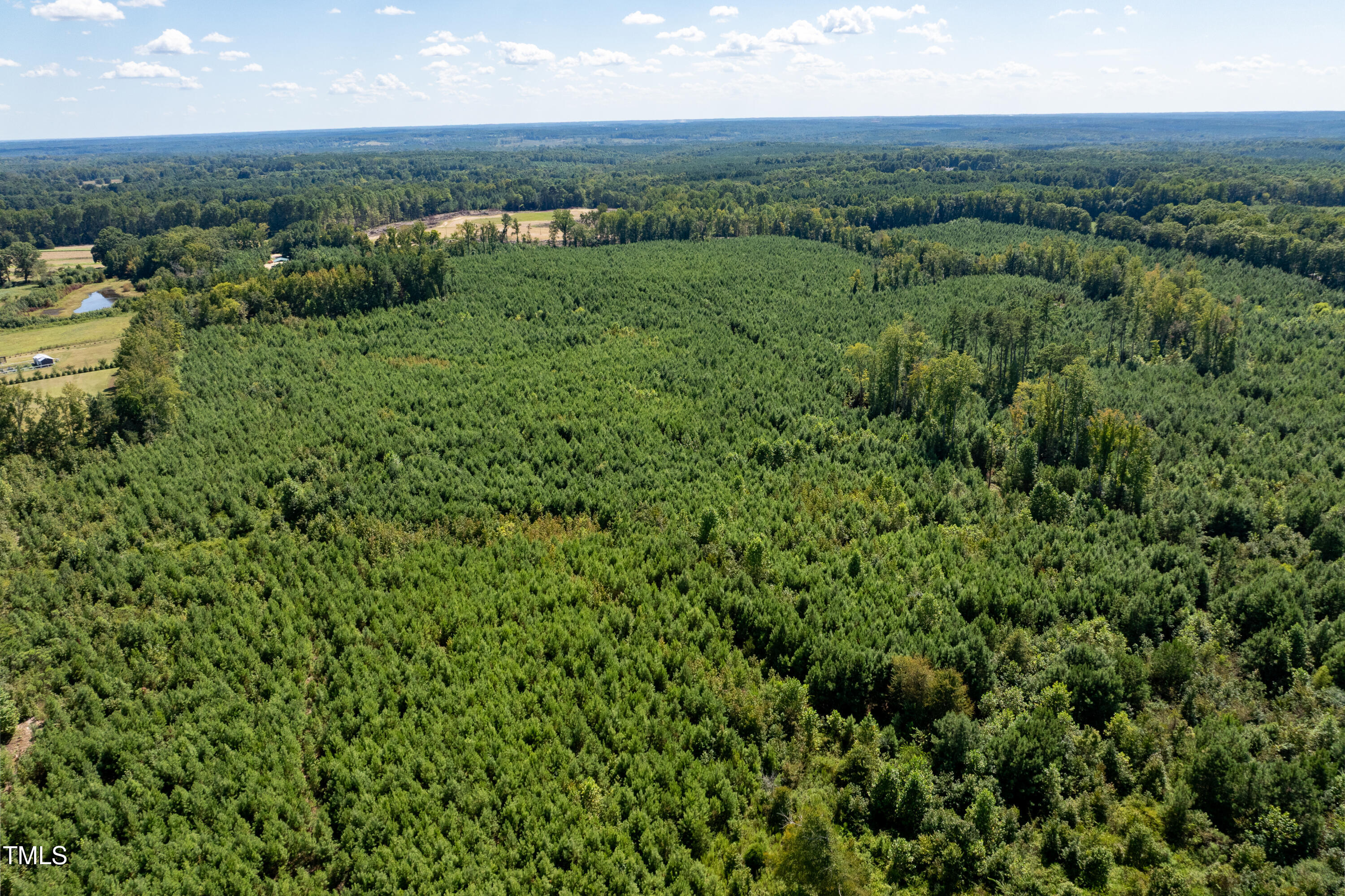 6-7 Walter Grissom Road Kittrell, NC 27544 - Photo 8 of 28 9-print-Walter-Grissom-Lot-9