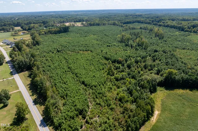 a view of a lush green forest with lots of trees
